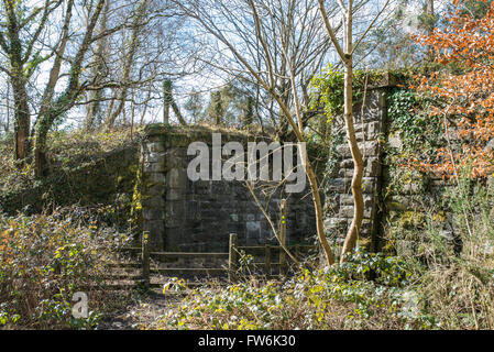 Die Mauern einer alten Brücke auf einer stillgelegten Eisenbahnlinie. Stockfoto