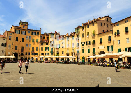 Die berühmte Oval Stadtplatz an einem sonnigen Tag in Lucca, Toskana, Italien Stockfoto