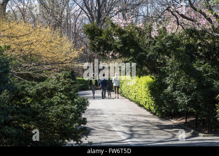 Touristen genießen den Wintergarten, Central Park, New York Stockfoto