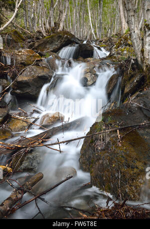 Schwall am Berghang Stockfoto