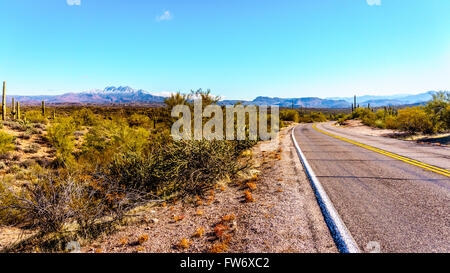 Halb Wüste Region von Zentral-Arizona im Gebüsch und Saguaro Kakteen bedeckt Stockfoto