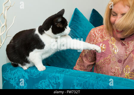 Frau spielt mit einem Haustier Katze Stockfoto