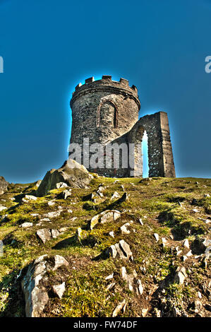 Bradgate Park, Leicestershire Frühjahr 2016 Stockfoto