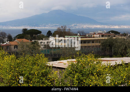 Vesuv von Sorrent mit bedecktem Himmel und Orangen- und Zitronenbäumen Bäume im Vordergrund gesehen Stockfoto