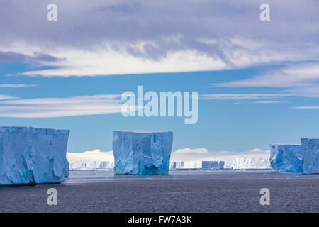 Eisberge in der Antarktis Sound, antarktische Halbinsel, Antarktis. Stockfoto