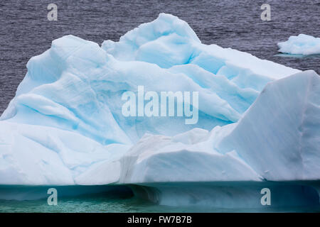 Eine Nahaufnahme von einem Wasser geformten Eisberg in Paradise Bay, Antarktis. Stockfoto