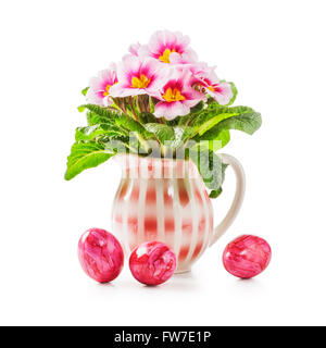 Primula Frühlingsblumen und rosa Ostereier isoliert auf weißem Hintergrund. Objekte mit Beschneidungspfad Stockfoto