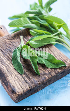 Frische Salbeiblätter Kraut auf blau lackierten Pastell Holztisch, lag flach von oben Stockfoto