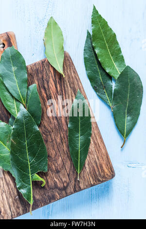 Frische Lorbeerblätter Kraut auf blau lackierten Pastell Holztisch, lay-flat von oben Stockfoto