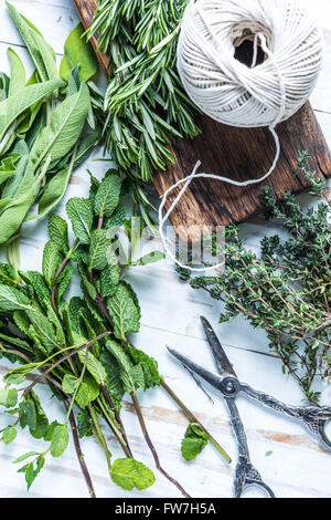 Frische Kräuter aus dem Garten-Vorbereitung für die traditionelle Erhaltung und Trocknung auf Holztisch Stockfoto