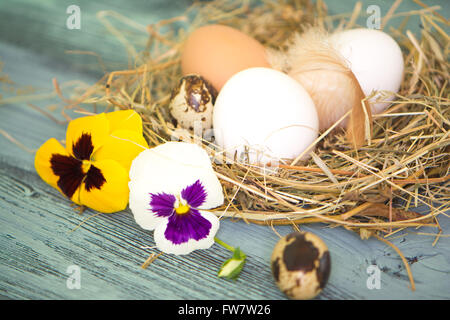 Ostern-Hintergrund mit Eiern und Blumen Stockfoto