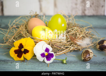 Ostern-Hintergrund mit Eiern und Blumen Stockfoto