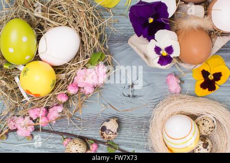 Ostern-Hintergrund mit Eiern und Blumen Stockfoto