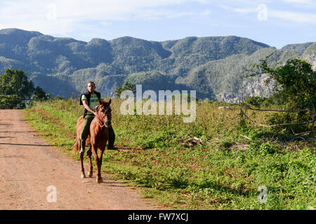 Vinales, Kuba - 25. Januar 2016: Mann auf einem Pferd in das Tal von Vinales auf Kuba Stockfoto
