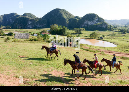 Vinales, Kuba - 25. Januar 2016: Menschen Reitpferde in das Tal von Vinales auf Kuba Stockfoto