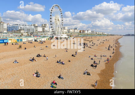 Menschen auf dem Brighton Strand an einem sonnigen Tag im Frühjahr, in Brighton, East Sussex, England, UK. Stockfoto