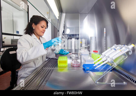 Wissenschaftler in einem Labor während pipettieren. Stockfoto