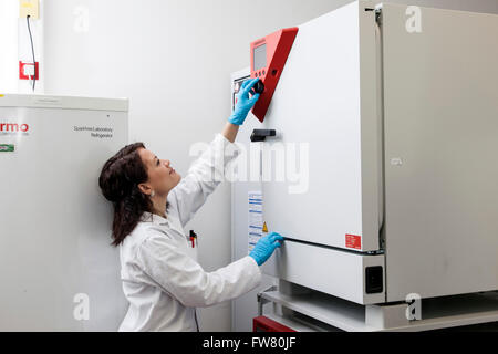 Wissenschaftler in einem Inkubator. Stockfoto
