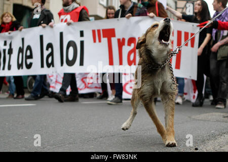 Straßburg, Frankreich. 31. März 2016.  Tausende von Menschen marschierten heute im Elsass gegen Bill arbeiten Myriam El Khomri. Sie waren etwa 80 Demonstranten in den Straßen von Haguenau heute Morgen und fast 450 in Colmar am späten Vormittag vor der Präfektur Haut-Rhin. Heute Nachmittag 2000 Leute waren anwesend Place De La Bourse in Mulhouse und Straßburg, zwischen 5000 Menschen, Polizei und 9000 nach der CGT marschierten durch die Straßen der Innenstadt.  Bildnachweis: Imagespic/Alamy Live-Nachrichten Stockfoto