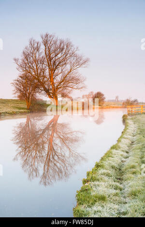 Willingham, Cambridgeshire, Großbritannien. 1. April 2016. einen kalten, nebligen Start in den Tag auf der Old West River, Willingham, Cambridgeshire UK. Ein klarer Himmel führte zu eine Nacht Frost. Das Wetter wird voraussichtlich am kommenden Wochenende wärmer werden. Bildnachweis: Julian Eales/Alamy Live-Nachrichten Stockfoto