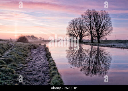 Willingham, Cambridgeshire, Großbritannien. 1. April 2016. einen kalten, nebligen Start in den Tag auf der Old West River, Willingham, Cambridgeshire UK. Ein klarer Himmel führte zu eine Nacht Frost. Das Wetter wird voraussichtlich am kommenden Wochenende wärmer werden. Bildnachweis: Julian Eales/Alamy Live-Nachrichten Stockfoto