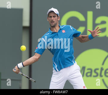 Key Biscayne, FL, USA. 1. April 2016. Key Biscayne, FL - 01 APRIL: Novak Djokovic(SRB) in Aktion besiegt David Goffin(BEL) 76(5) 64 während dieses Halbfinale bei der 2016 Miami Open in Key Biscayne, FL. Credit: Andrew Patron/Zuma Draht Credit: Andrew Patron/ZUMA Draht/Alamy Live News Stockfoto