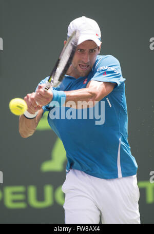 Key Biscayne, FL, USA. 1. April 2016. Key Biscayne, FL - 01 APRIL: Novak Djokovic(SRB) in Aktion besiegt David Goffin(BEL) 76(5) 64 während dieses Halbfinale bei der 2016 Miami Open in Key Biscayne, FL. Credit: Andrew Patron/Zuma Draht Credit: Andrew Patron/ZUMA Draht/Alamy Live News Stockfoto