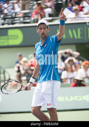 Key Biscayne, FL, USA. 1. April 2016. Key Biscayne, FL - 01 APRIL: Novak Djokovic(SRB) verweist auf die Fans danken ihnen für das helfen ihm gewinnen den ersten Satz-Tie-break. Djokovic würde David Goffin(BEL) 76(5) 64 besiegen, während dieses Halbfinale Spiel bei den 2016 Miami Open in Key Biscayne, FL. Credit: Andrew Patron/Zuma Draht Credit: Andrew Patron/ZUMA Draht/Alamy Live News Stockfoto