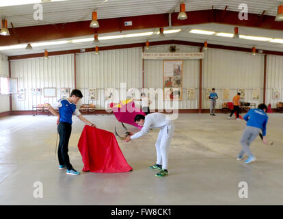 Madrid, Spanien. 18. März 2016. Studenten an der Stierkampf Schule "Escuela de Tauromaquia de Madrid" Zug mit einem roten Tuch (Muleta) und ein paar Hörner in der Halle der Schule in Madrid, Spanien, 18. März 2016. Politiker wollen die Spaniens größte Stierkampfschule schließen. Foto: FABIAN WEGENER/Dpa/Alamy Live News Stockfoto