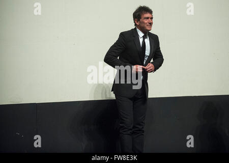 Santander, Spanien. 1. April 2016. SANTANDER, Spanien 1. April 2016 der Schauspieler Antonio Banderas bei der Premiere in Santander den Film "Altamira" (Regisseur Hugh Hudson) Credit: Joaquín Gómez Sastre/Alamy Live News Stockfoto