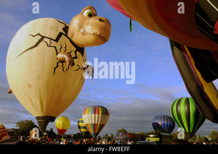 Auckland, Neuseeland. 20. März 2016. Heißluft-Ballon Baby Dino ist mit Luft bei der Abschlussfeier des Ballons über Waikato, eine jährliche Heißluft-Ballon-Festival, in Hamilton, Neuseeland, am 20. März 2016 gefüllt. Die fünf-Tage-Ballons über Waikato war am Sonntag geschlossen, Attacting, die vielen berühmten Heißluftballons sind Rennen, Auto, Princess Carriage, Baby Dino und eine 30 Meter hohe Resenes Elefantastic Erdnuss. Wegen schlechten Wetters beschränkte sich die geplanten Flugleistungen am Sonntag auf den Boden. © Tian Ye/Xinhua/Alamy Live-Nachrichten Stockfoto