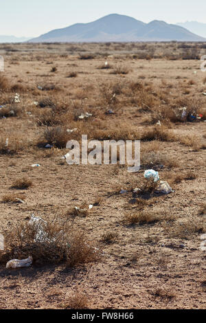 Müll, Müll, Müll verstreut Weideland in der Nähe von Deming, New Mexico, USA Stockfoto