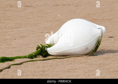 Weiße Boje im gelben Sand des Strandes Stockfoto