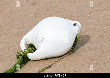 Weiße Boje im gelben Sand des Strandes Stockfoto