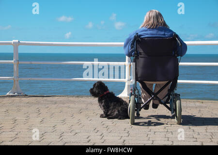 Behinderten Menschen in einem Rollstuhl mit einem Hund an der Meer-Küste mit Blick auf das Meer UK Stockfoto