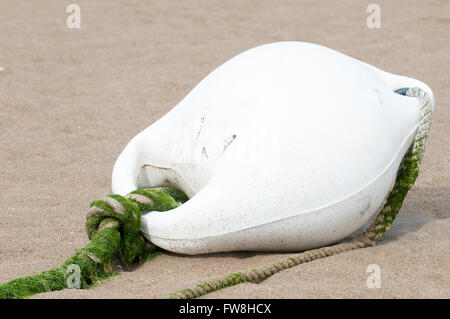 Weiße Boje im gelben Sand des Strandes Stockfoto