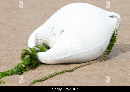 Weiße Boje im gelben Sand des Strandes Stockfoto