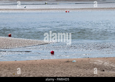 Schimmernde Wasser an der Mündung, die das Sonnenlicht reflektiert Stockfoto