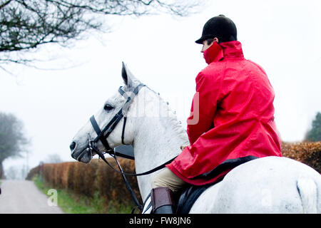 Huntsman auf einem grauen Pferd im Regen Stockfoto