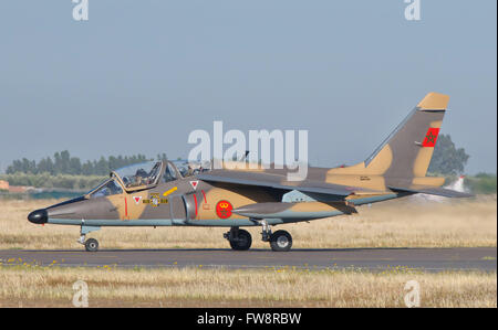 Eine königliche marokkanische Luftwaffe Alpha Jet auf der Luftfahrtmesse Marrakesch in Marokko. Stockfoto