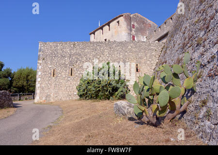 Das Fort Carré von Antibes in Frankreich Stockfoto