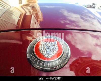 Badajoz, Spanien - 7. Februar 2016: Logo der Marke Jaguar auf Auto mit dem Erstellen von Reflexionen an Motorhaube Stockfoto