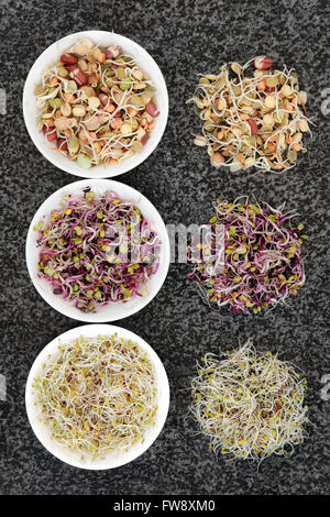 Keimung von Samen und Bohnen Auswahl aus Porzellan Schalen und lose auf Marmor Hintergrund. Stockfoto