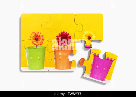 3D-Rendering Nahaufnahme von sechs Puzzleteile mit Drucken von Topfblumen auf gelbem Hintergrund. Isoliert Stockfoto