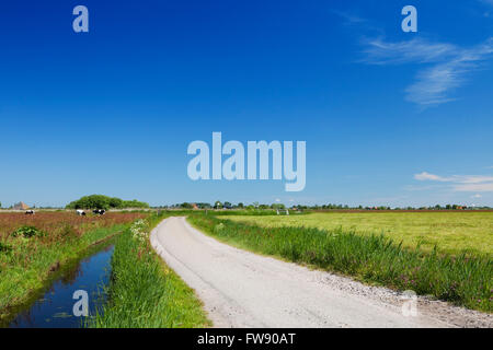 Eine Straße durch eine typisch holländische Polderlandschaft an einem hellen, sonnigen Tag. Stockfoto