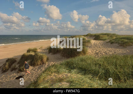 Bjerregård Strand Bjerregård. Hvide Sande. Westjütland. Dänemark Europa Stockfoto