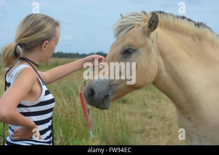 Teenager-Mädchen streichelt den Kopf eines Ponys Holmsland Klit. Westjütland. Dänemark. Europa Stockfoto