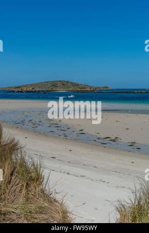 Rushy Porth-Strand in der Nähe von Blockhaus-Punkt, der über Teän Insel sieht. Tresco, Isles of Scilly, Cornwall, England, UK Stockfoto