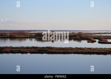 Landschaft bei Sonnenuntergang des Sumpfes - die Lagune im Naturschutzgebiet Stockfoto