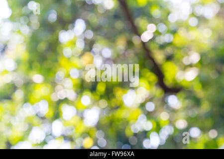 defokussierten abstrakte Lichter Stockfoto